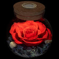 Preserved Real Rose 4.3in Wishing Bottle with Color Mood Light - Red