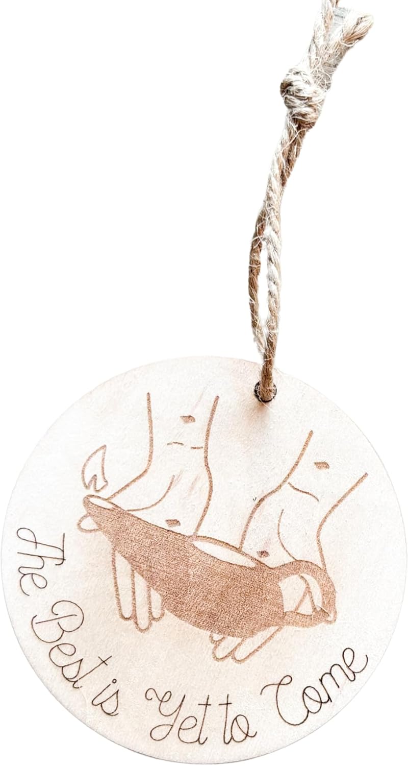 Set of 20 Religious Christmas Ornaments for Holiday Decor