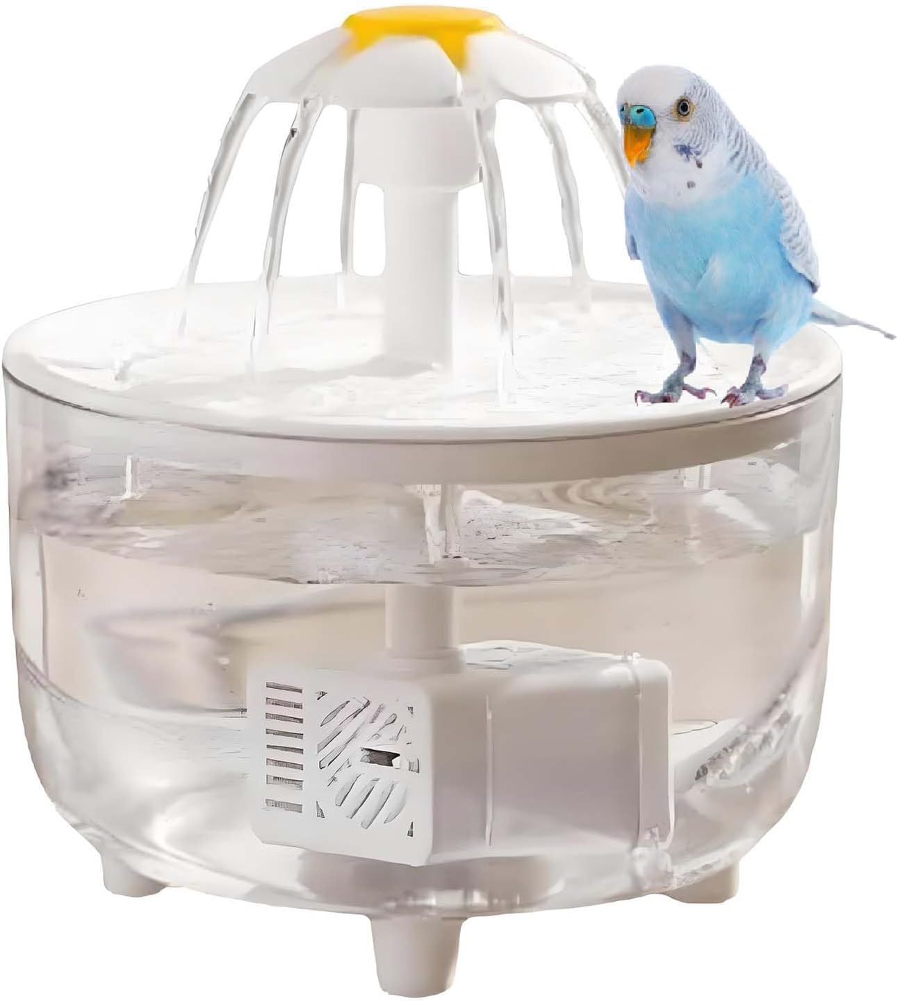 Petlex Indoor Bird Bath - Safe Bird Shower