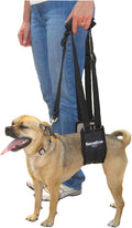 GINGERLEAD Dog Sling Support Harness - Padded Rear Lift for Small