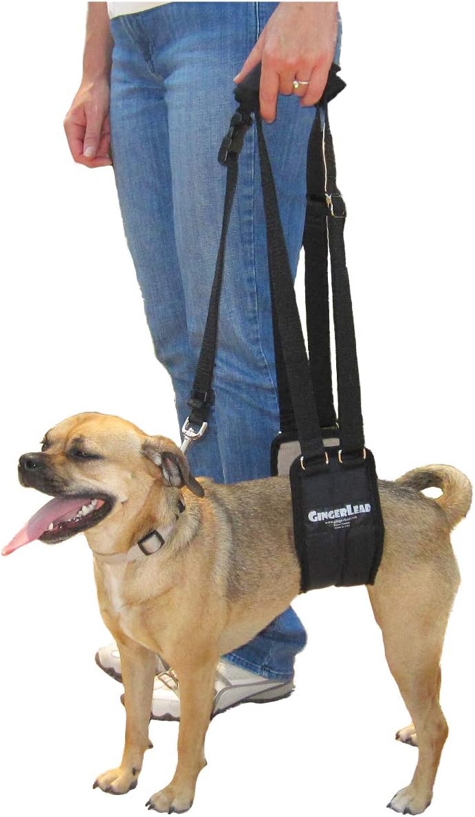 GINGERLEAD Dog Sling Support Harness for Small to Medium Pets