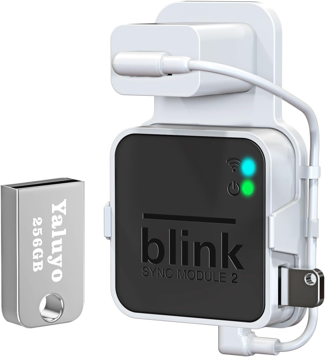 Effortless Blink Video Storage Solution