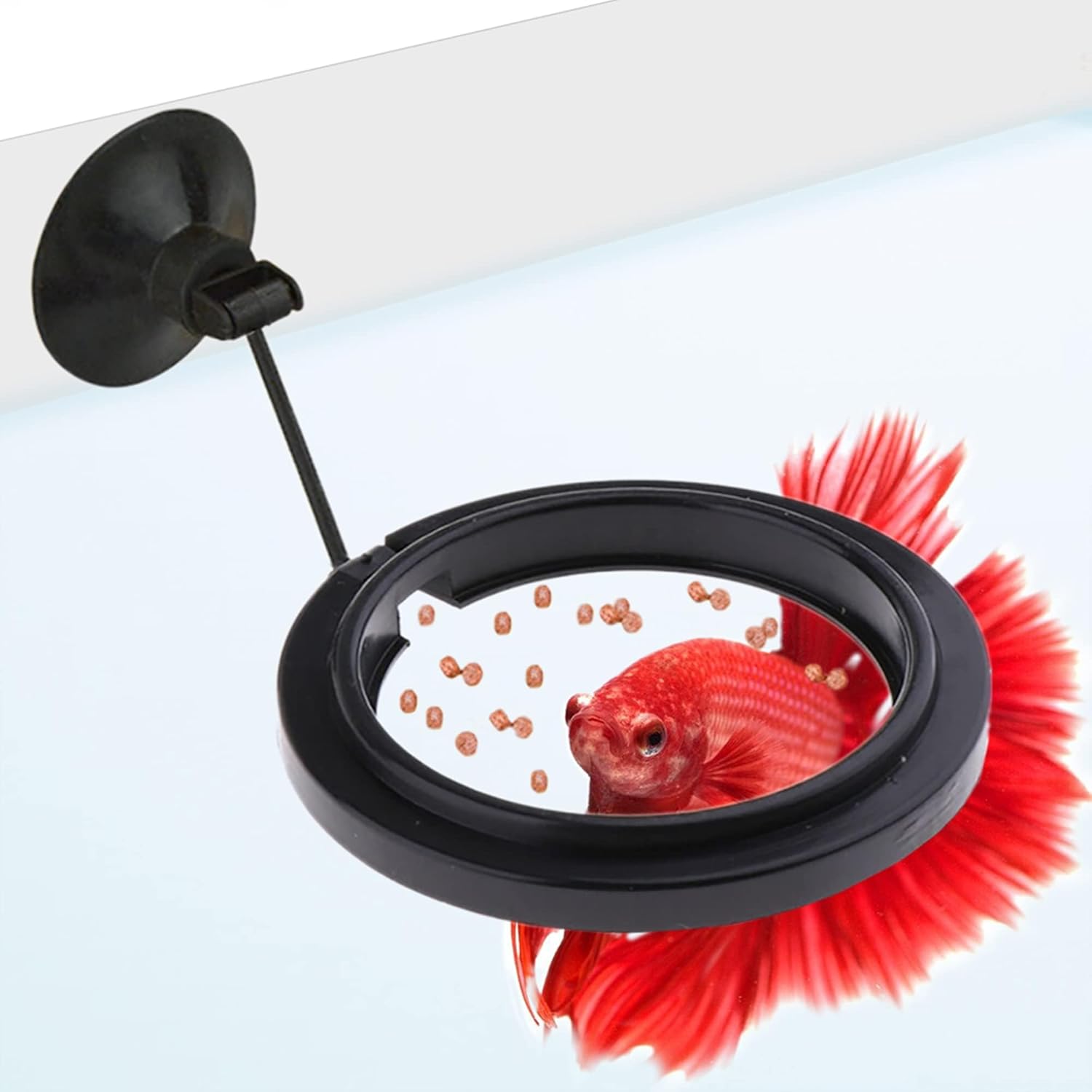 SunGrow Betta Feeding Ring - Prevents Food Waste!