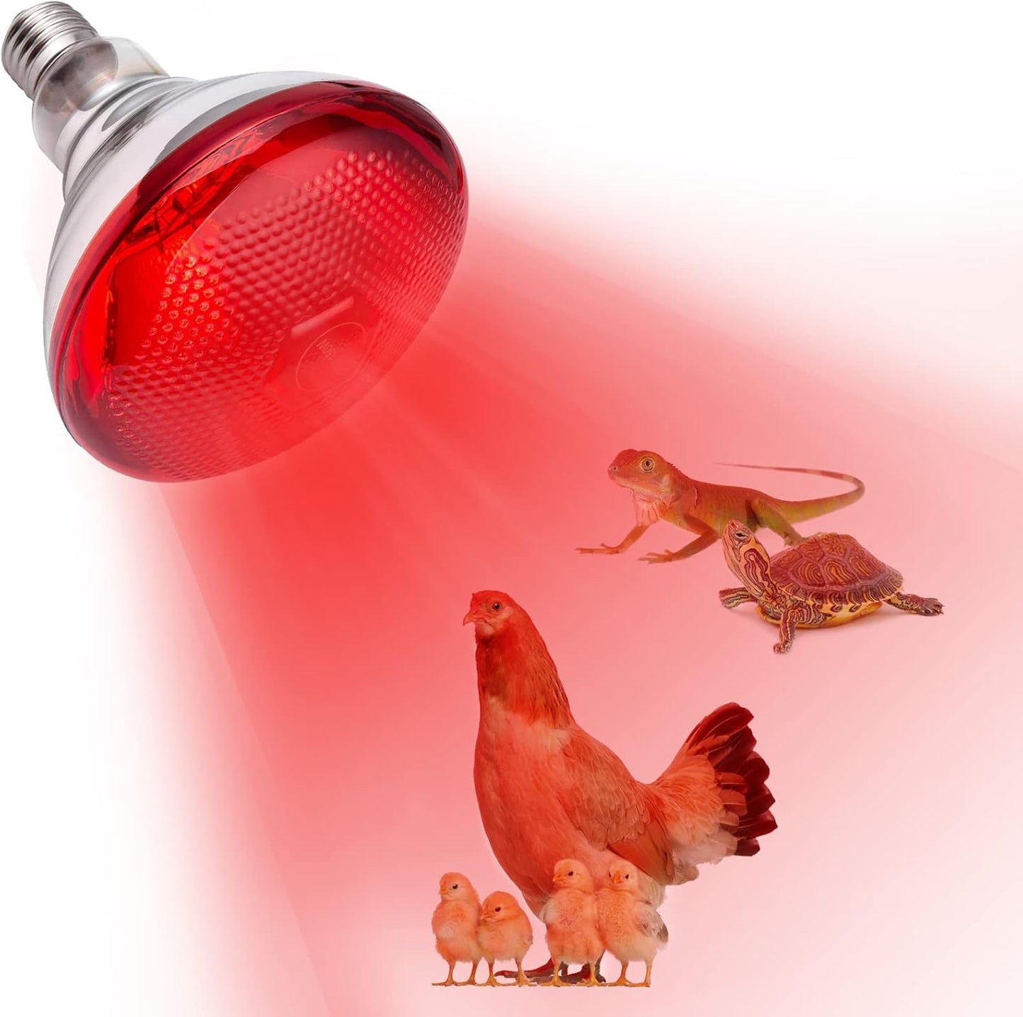 150W Infrared Heat Lamp for Coop & Reptiles - Fast Warmth!