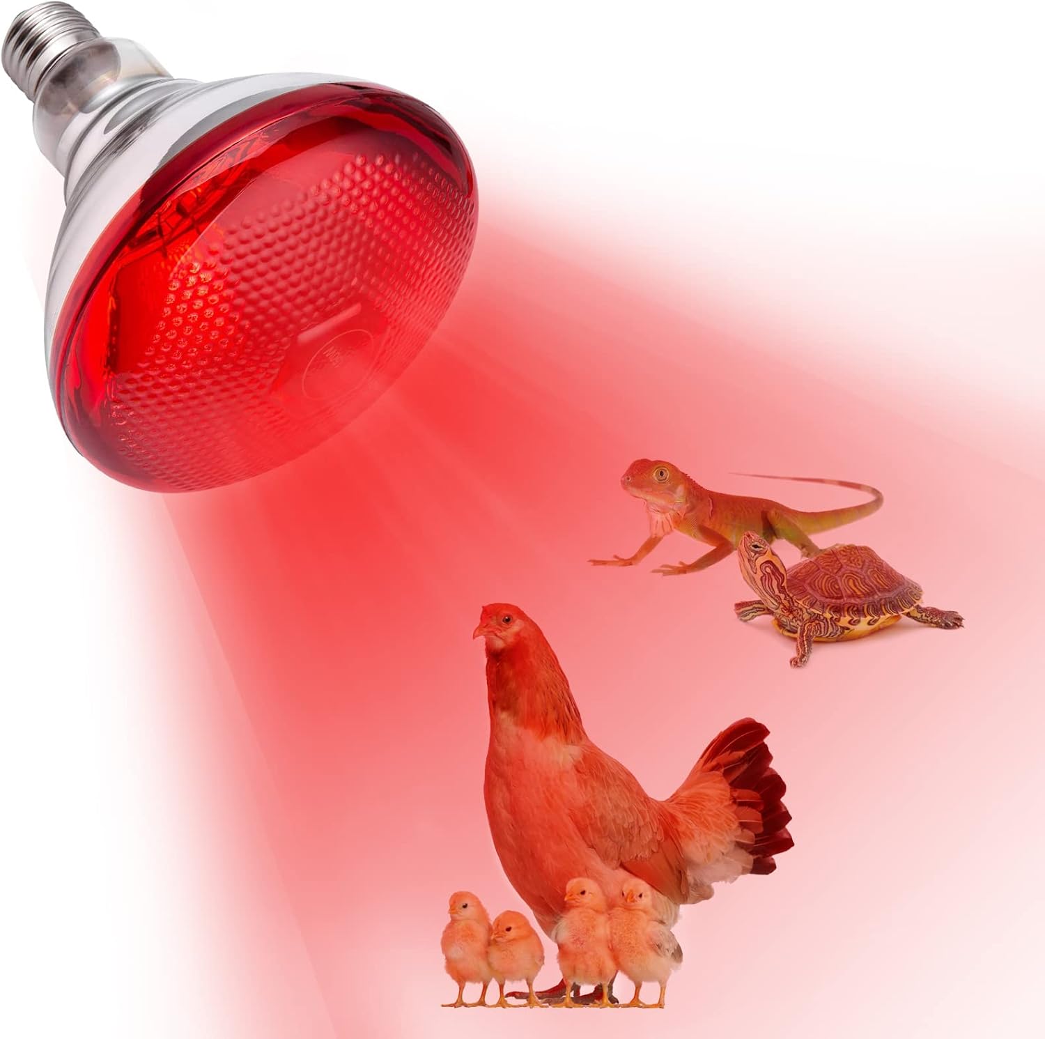 150W Infrared Heat Lamp for Coop & Reptiles - Fast Warmth!