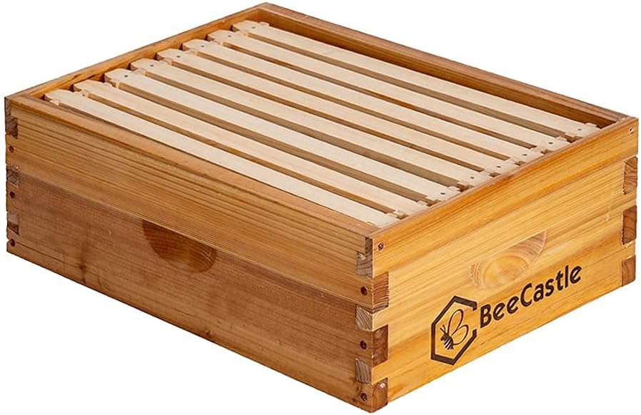 BeeCastle 8 Frame Medium Super Bee Hive Box for Beekeeping