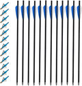 20 Inch Carbon Crossbow Bolts 12 Pack with 12 Broadheads - Accurate