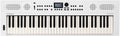 Roland GO:KEYS 5 Music Creation Keyboard for Aspiring Musicians