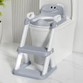 Potty Training Seat for Toddlers - 2 in 1 Step Stool and Seat