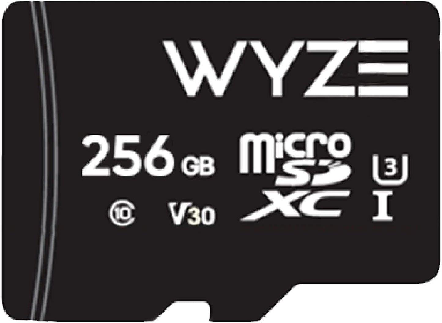 Maximum Storage Power: Wyze 256GB MicroSDXC