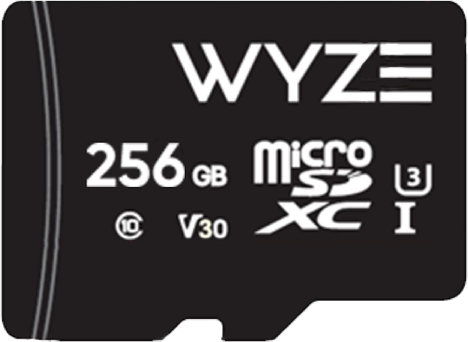 Maximum Storage Power: Wyze 256GB MicroSDXC