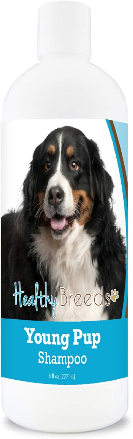 Bernese Puppy Shampoo - Gentle Care for Young Pups