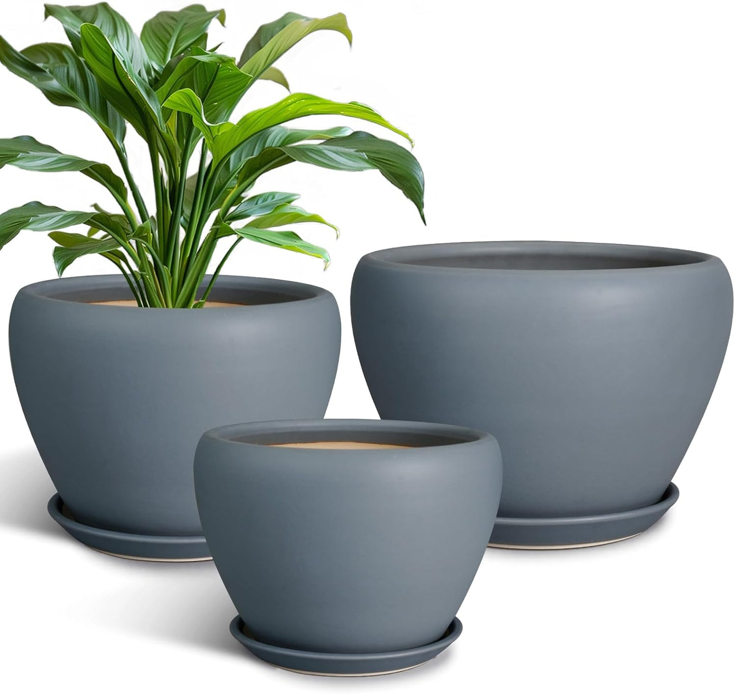 Ceramic Plant Pots Set of 3 with Drainage Holes for Indoor Use