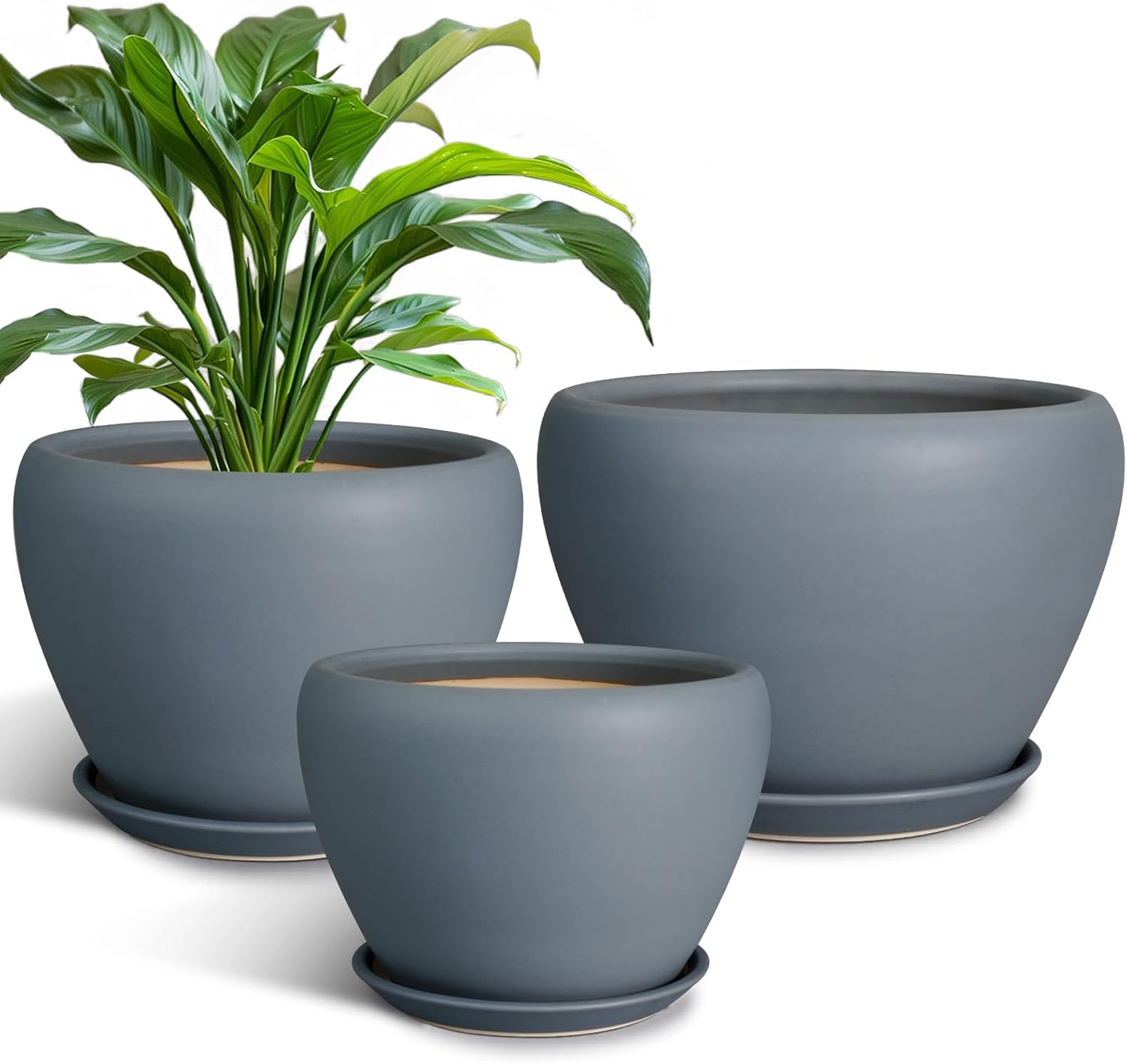 Ceramic Plant Pots Set of 3 with Drainage Holes for Indoor Use