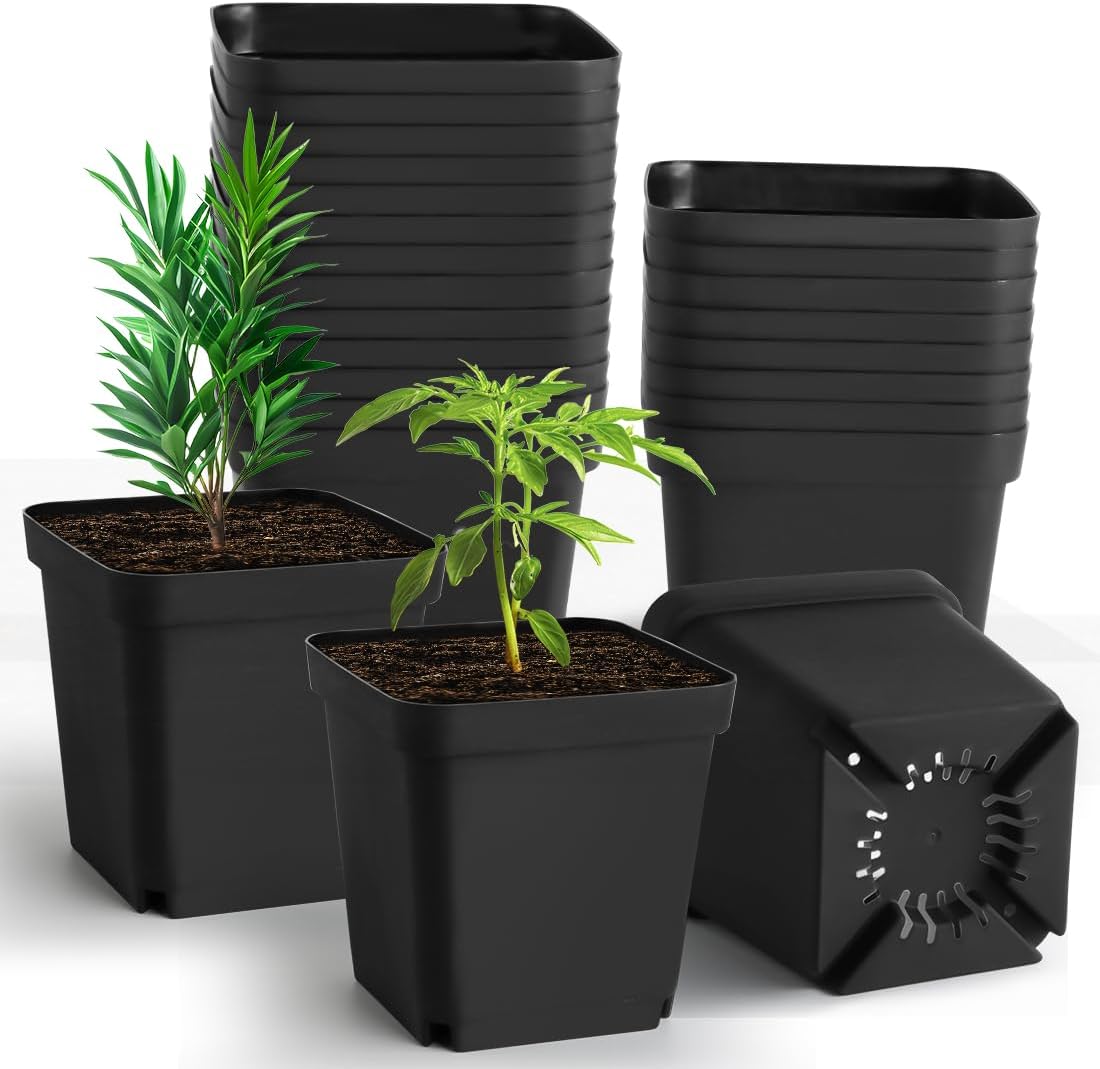 Square Nursery Pots 5.5 Inch for Indoor and Outdoor Gardening