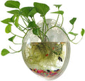 Hanging Wall Mounted 1 Gallon Fish Tank Bowl for Home Decor