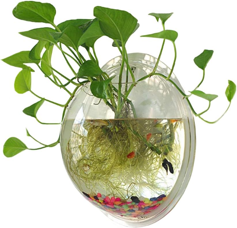 Hanging Wall Mounted 1 Gallon Fish Tank Bowl for Home Decor