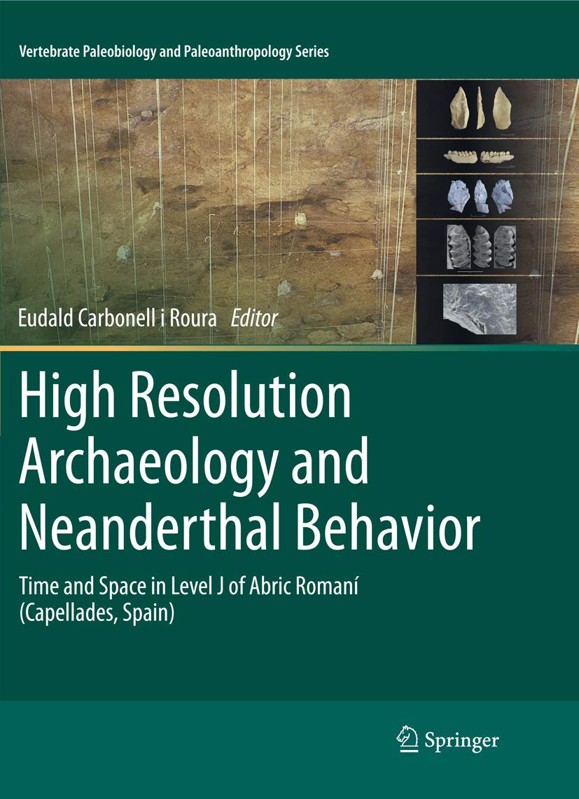 High Resolution Archaeology: Neanderthal Behavior Insights