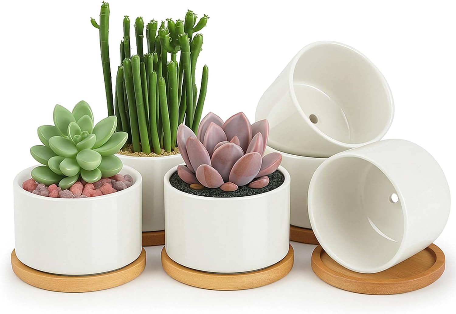 ZOUTOG 4 Inch Ceramic Succulent Pots with Drainage & Tray
