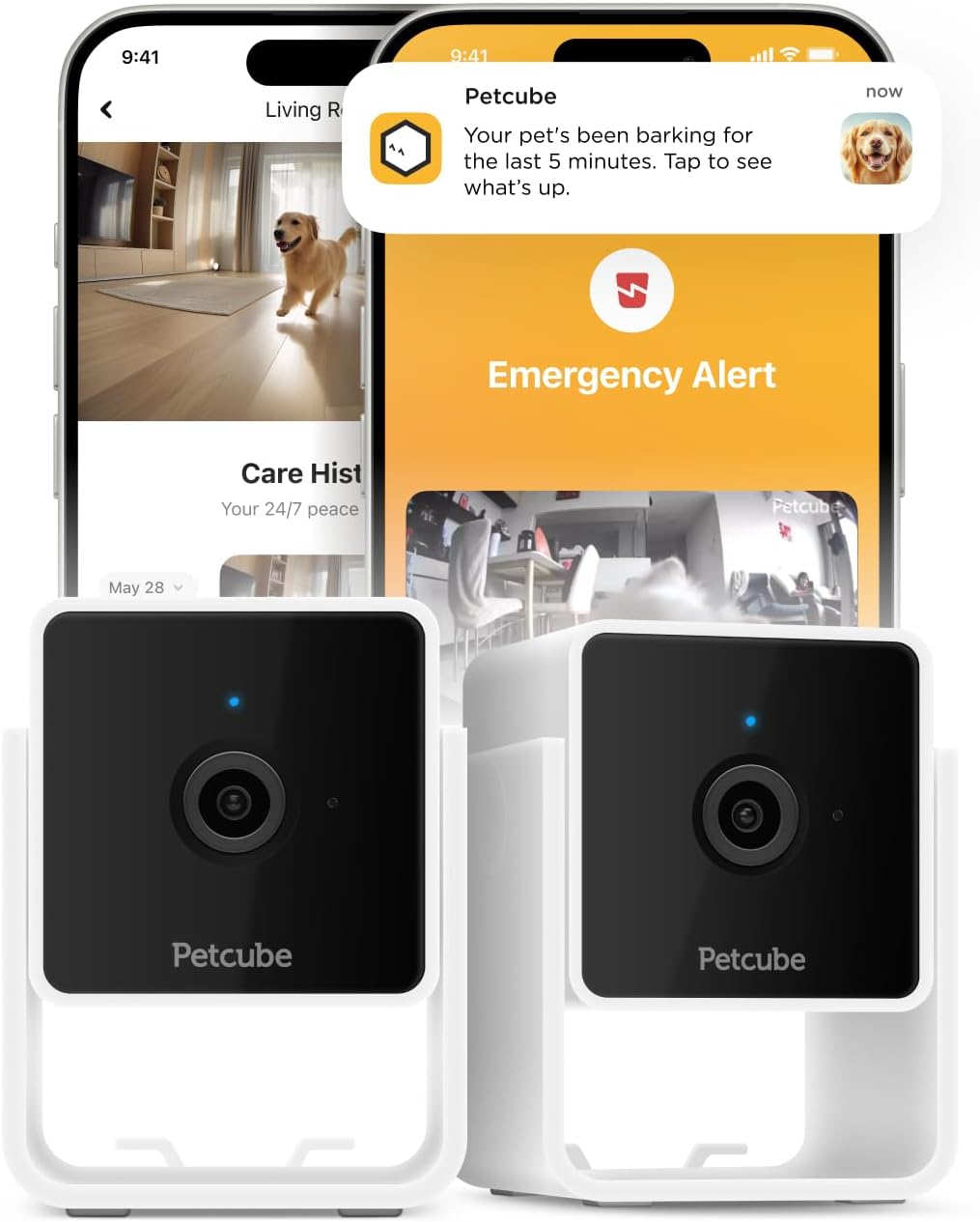 Petcube Cam: 1080p HD Security Surveillance