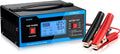 8 Volt Battery Charger for Golf Cart and Automotive Batteries