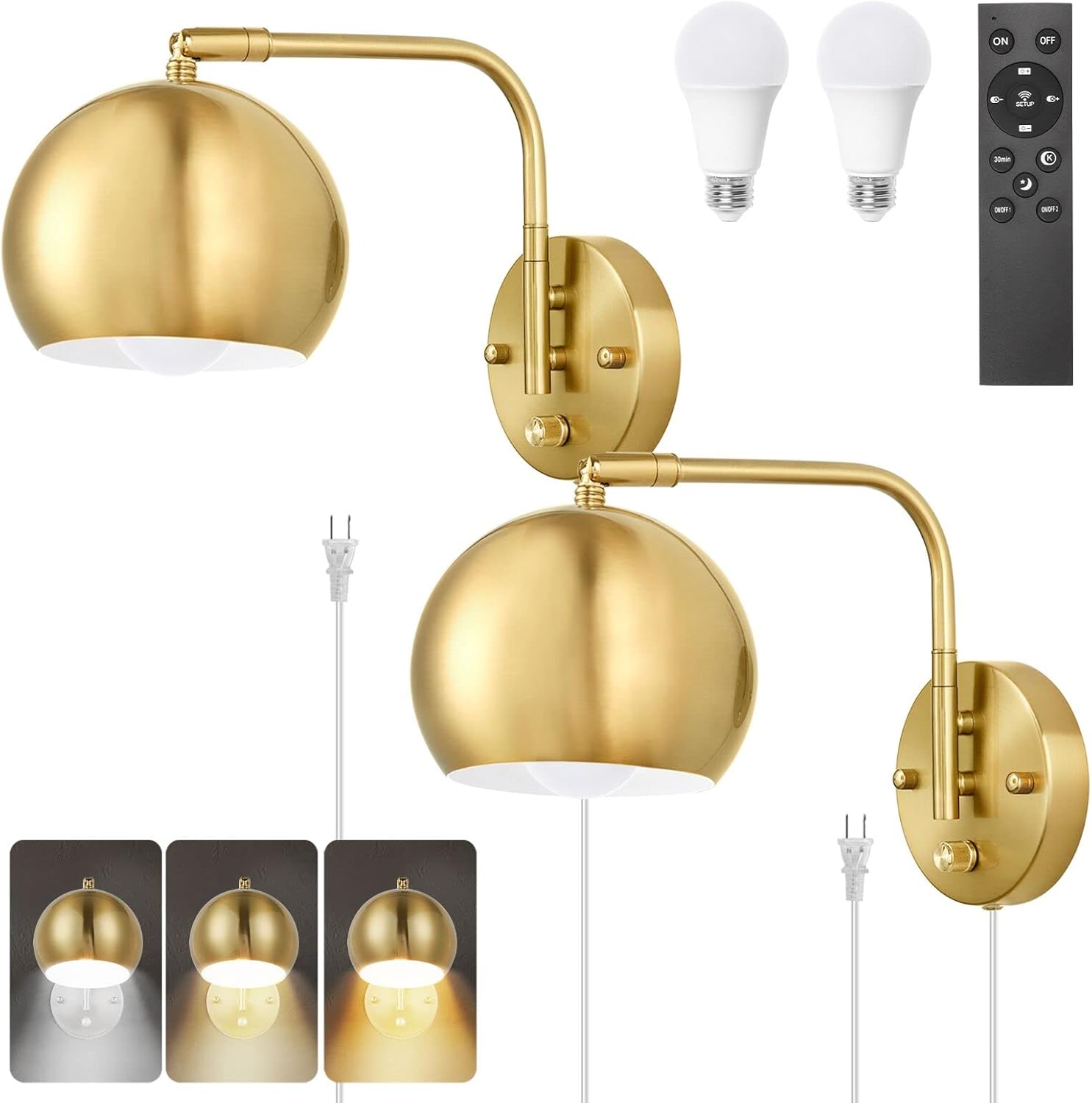 Dimmable Wall Sconce with Remote Control and Adjustable Color Temp