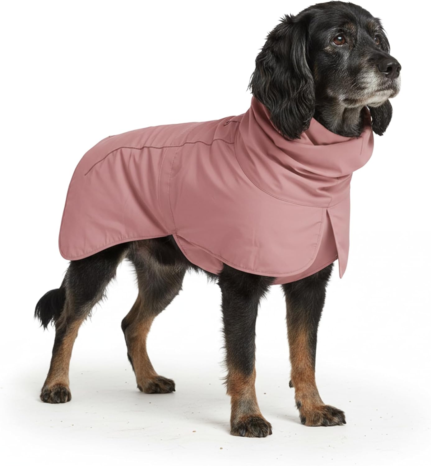 Spark Paws Dog Raincoat for All Sizes - Waterproof & Reflective