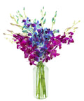 KaBloom PRIME NEXT DAY DELIVERY Denali Orchid Bouquet - 20 Stems