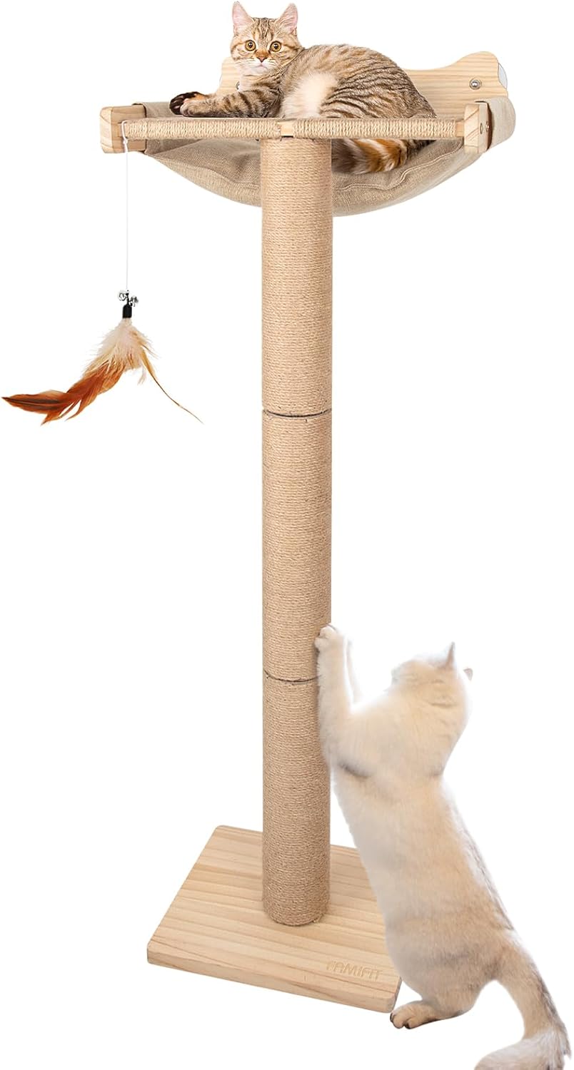 Cat Window Perch with Scratching Post for Climbing and Play