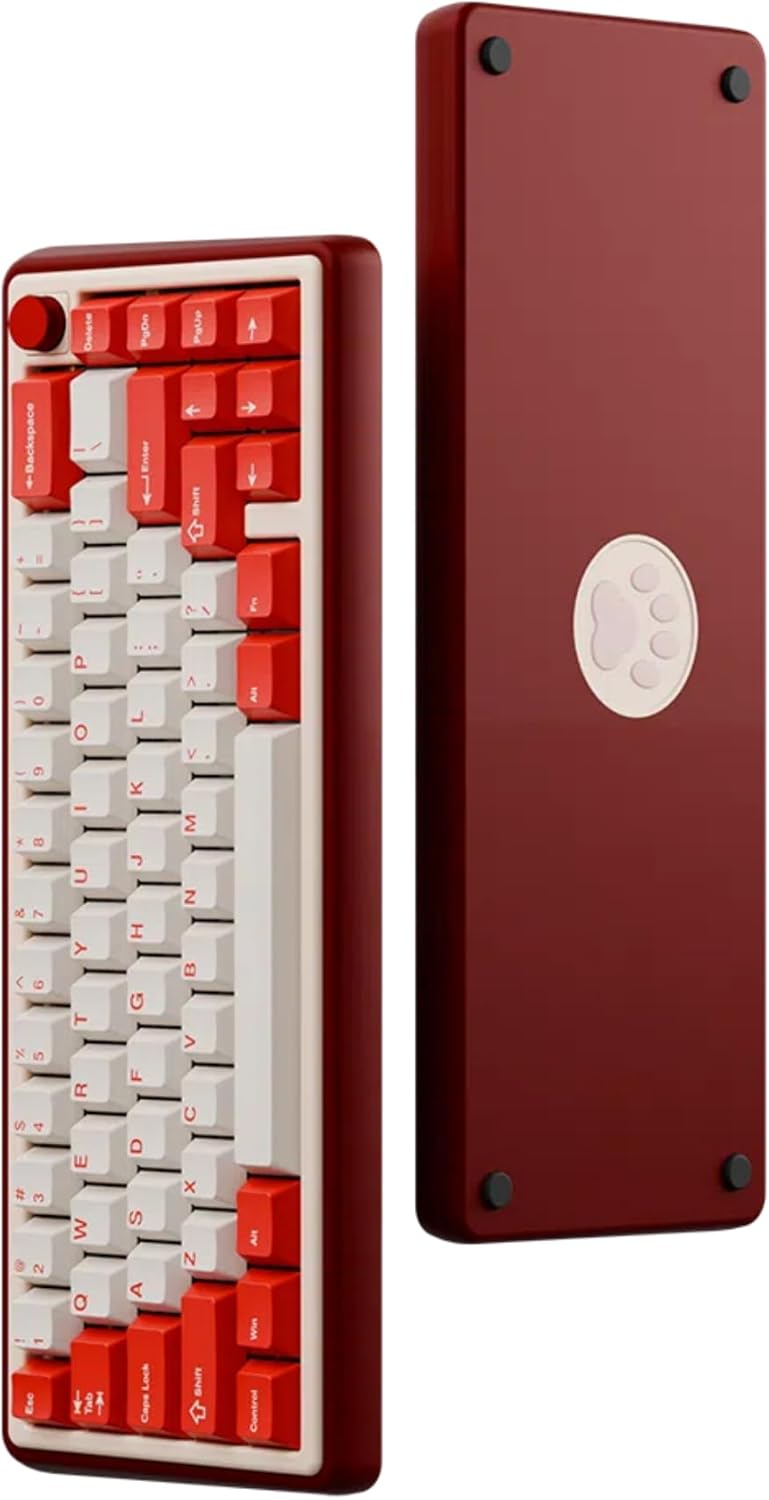 Chilkey Foxy65 Mechanical Keyboard: Compact, Wireless, RGB Backlit
