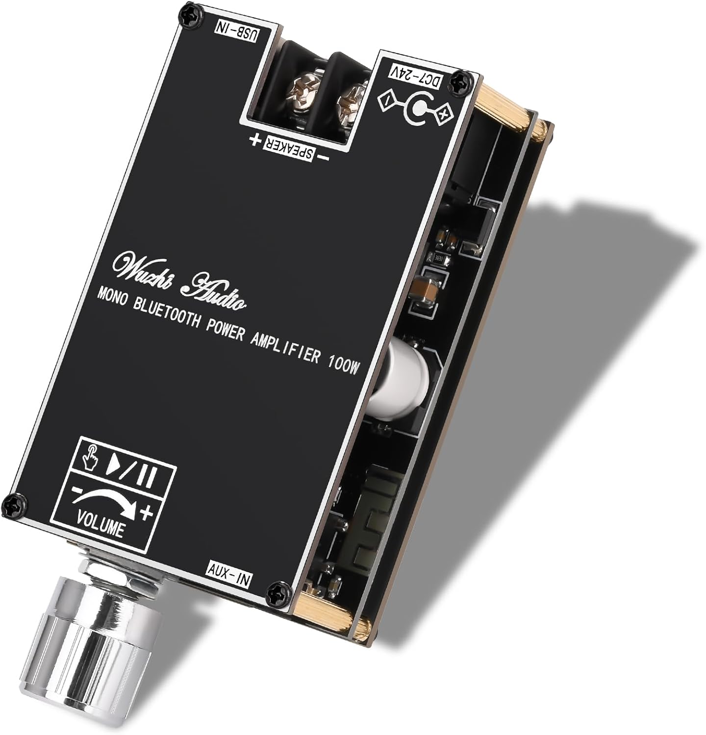 100W Bluetooth Amp Board: TWS Pairing, DIY Speakers