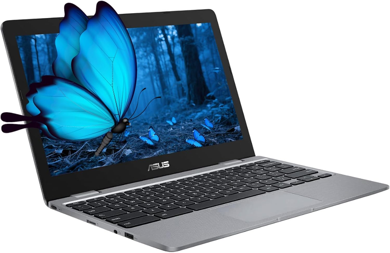 ASUS Chromebook Laptop with 11.6 in HD Anti-Glare Display