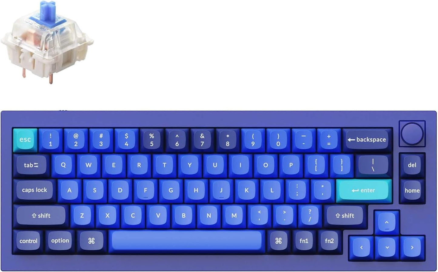 Keychron Q2 Wired Mechanical Keyboard: Hot-swappable Gateron G Pro Blue Switch & Programable Macros