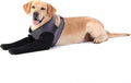 Dog Socks to Prevent Licking Paws - Breathable Recovery Sleeve 2XL