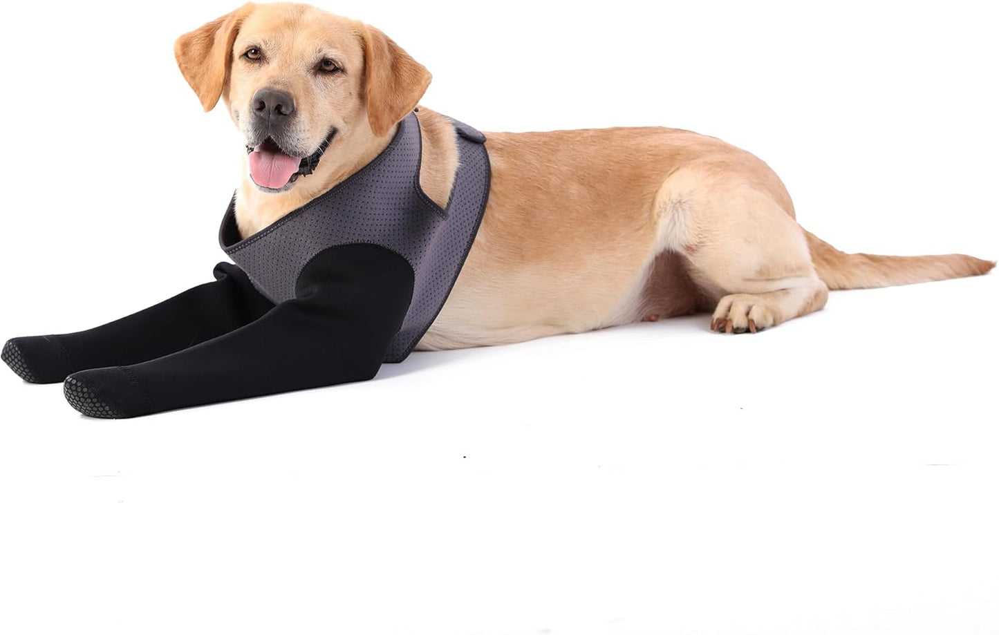 Dog Socks to Prevent Licking Paws with Breathable Design