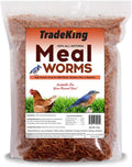 5 lb Dried Mealworms - High Protein Treat for Birds & Poultry
