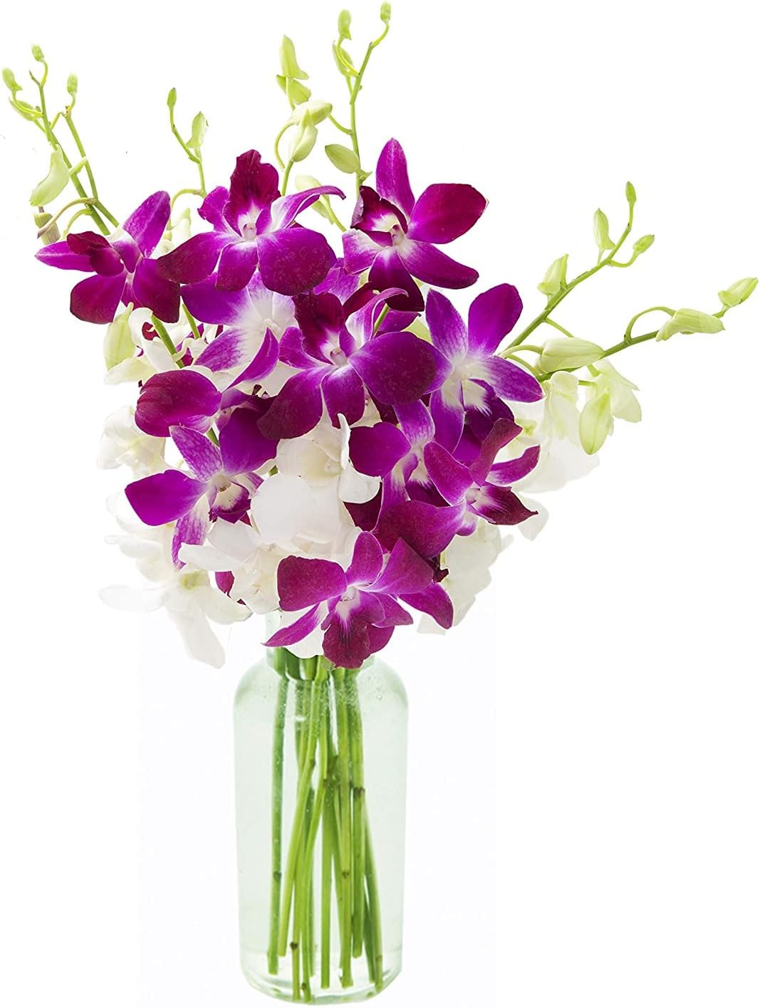 Stunning Purple and White Orchid Bouquet with Vase for Gifts