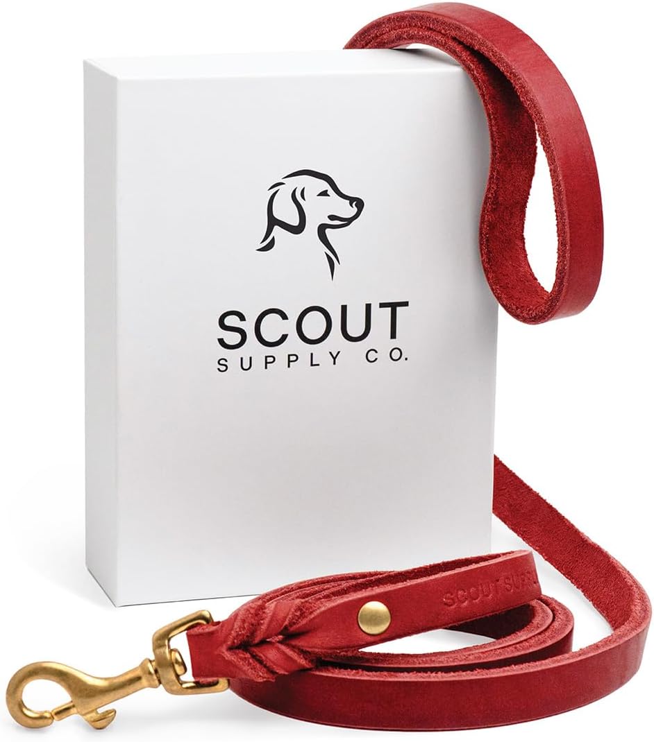 Scout Supply Classic Leather Dog Leash for Stylish Walks