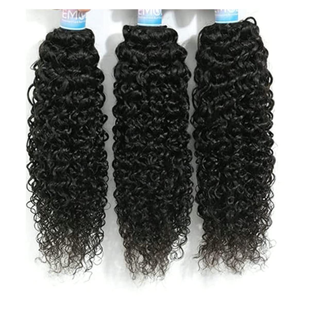 Kinky Curly Human Hair Bundles for Stunning Natural Looks