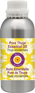 Pure Thuja Essential Oil 630ml Steam Distilled - Therapeutic Grade