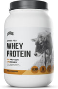 Levels Grass Fed Whey Protein Powder Vanilla Cinnamon - Clean 24G