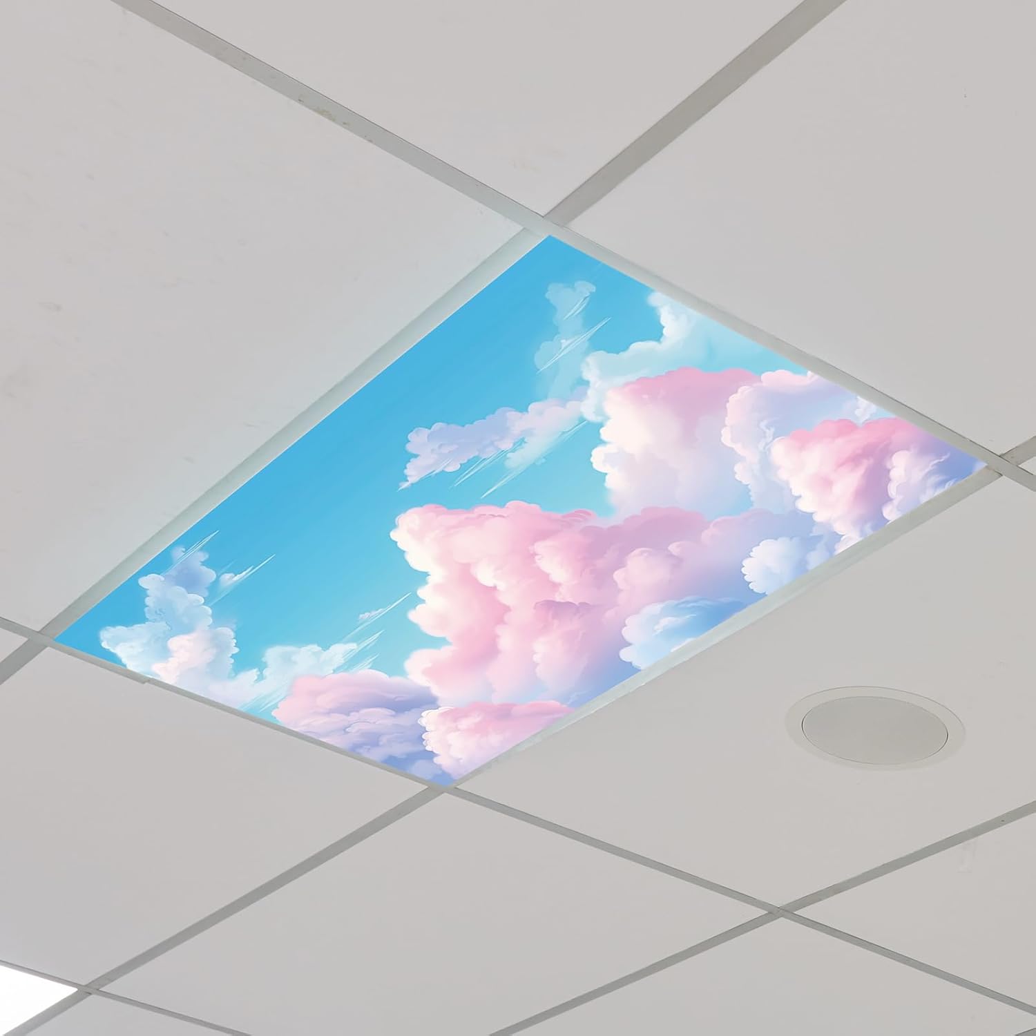 Fluorescent Light Cover Set with Magnets for Classroom Use