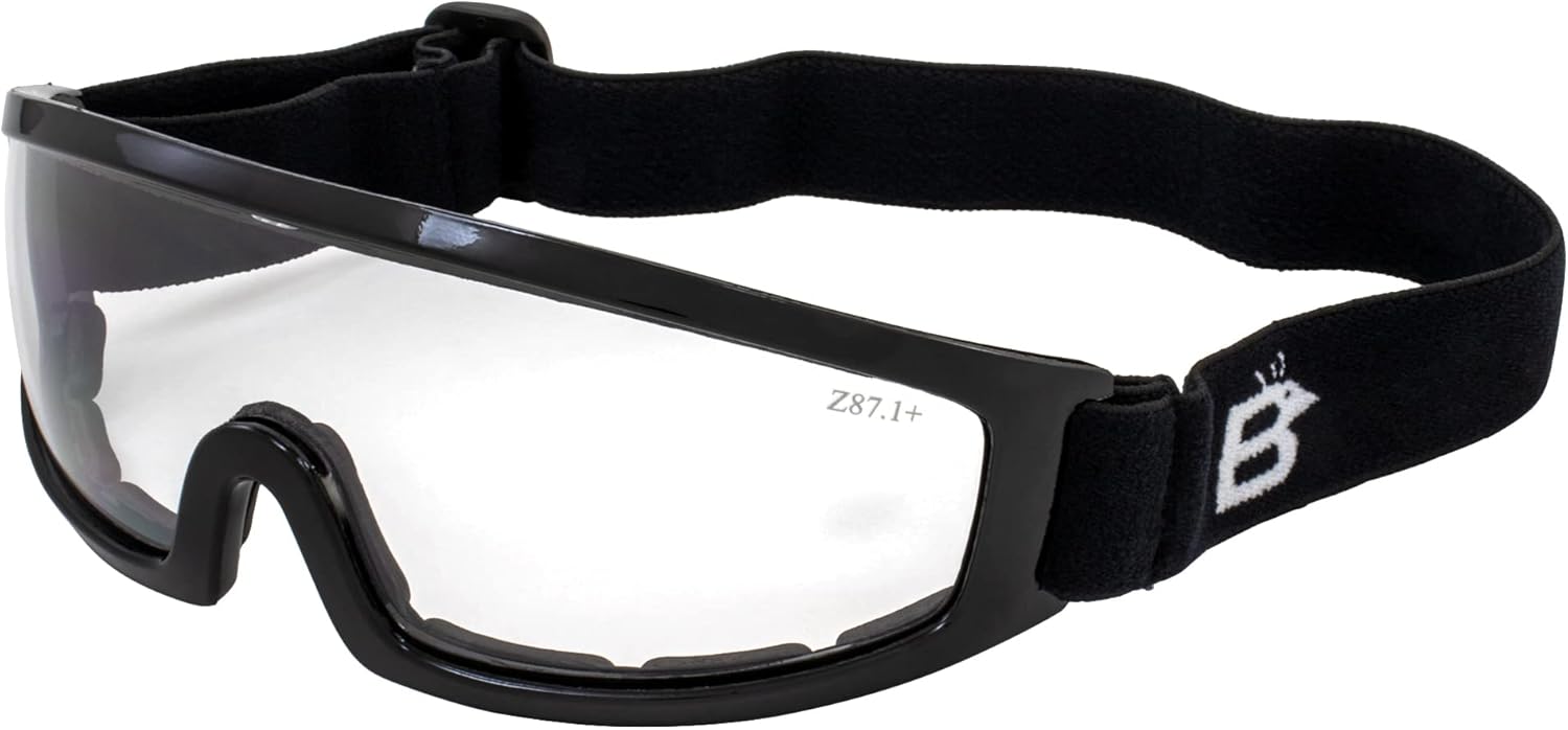 Birdz Robin Sport Goggles: Clear Vision for Extreme Sports