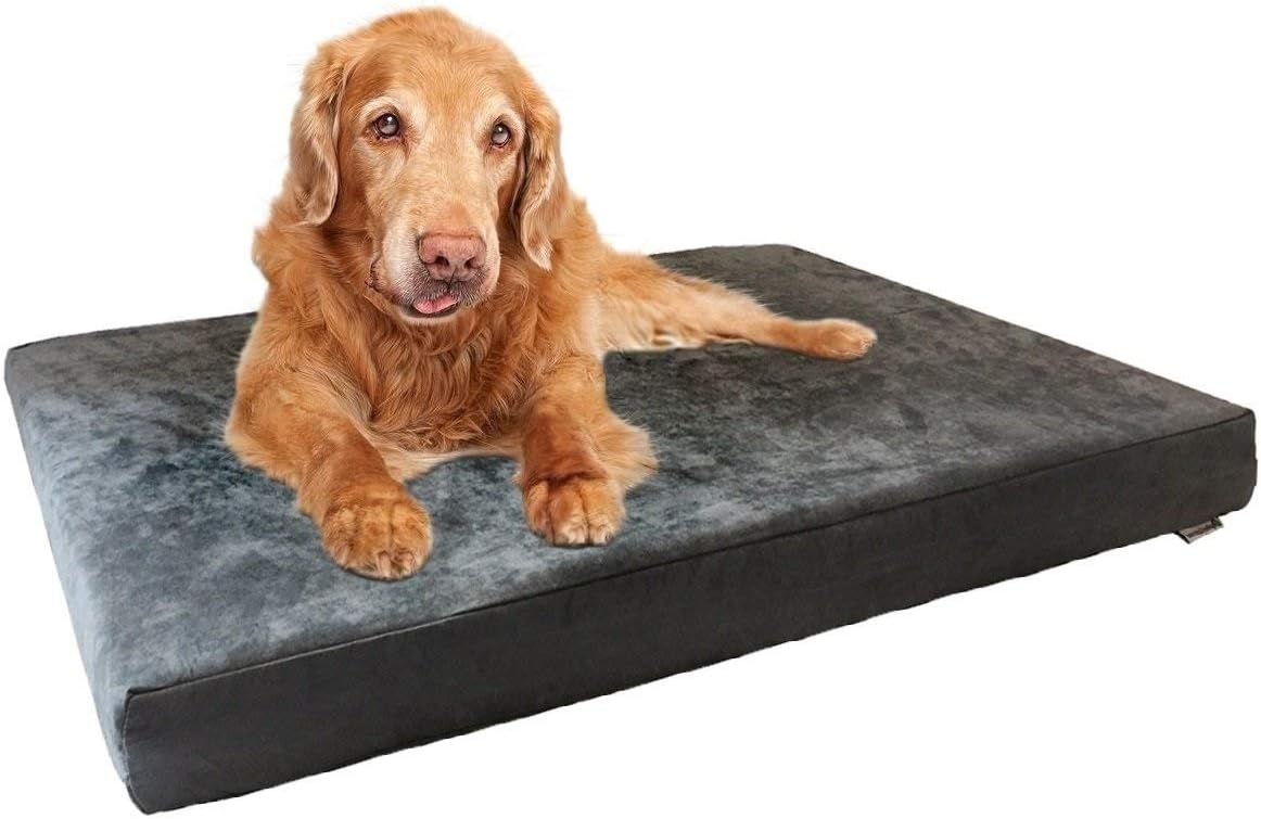 Dogbed4less Orthopedic Gel Memory Foam Pet Bed for Comfort