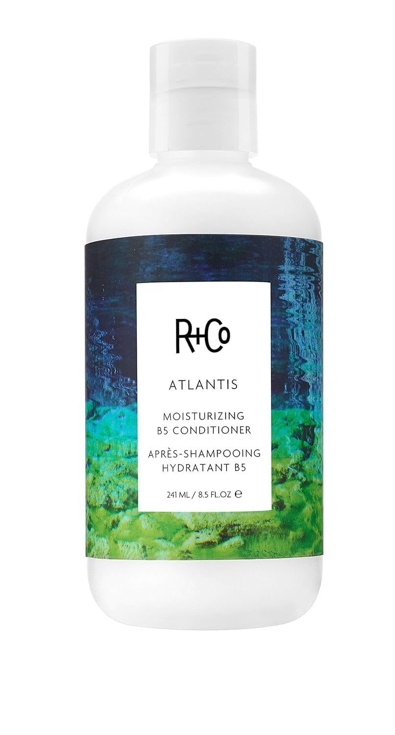 Hydrating Frizz Tamer | R+Co B5 Conditioner