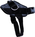 ShawnCo Easy-Walk Dog Harness for Training and Daily Use