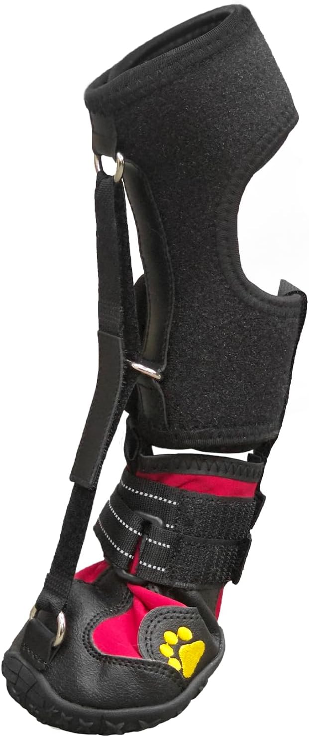Strap-On Drop Foot Brace for Dogs with Arthritis and Gait Issues