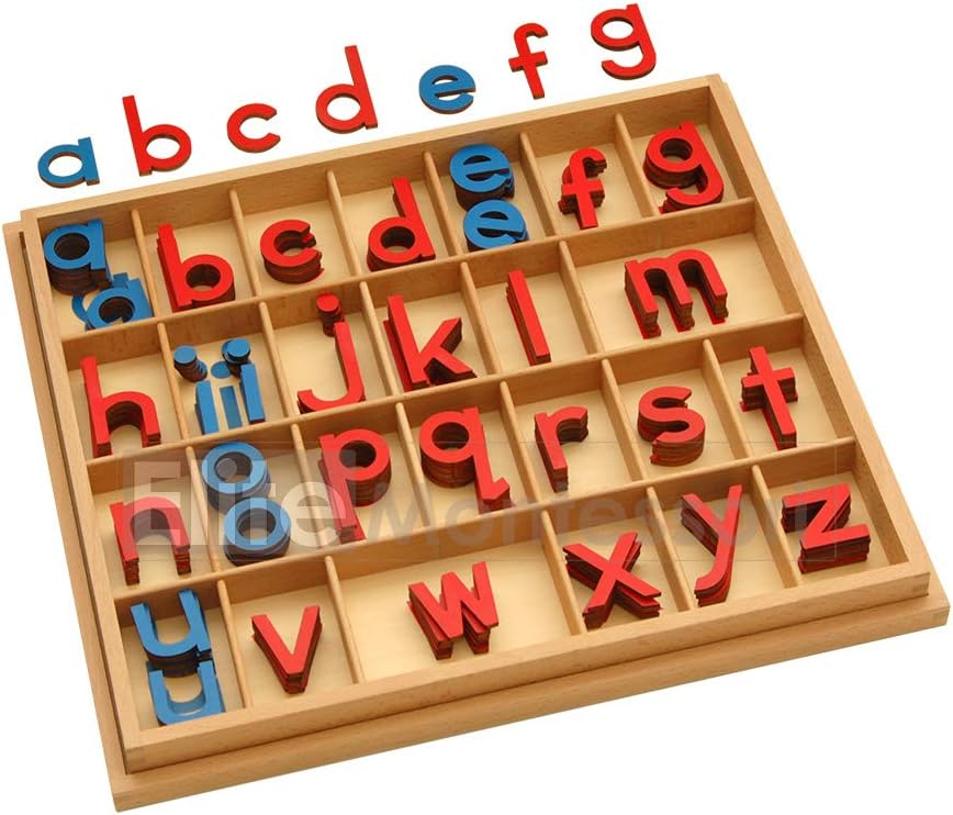 Elite Montessori Wooden Movable Alphabet for Preschool Learning