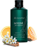 Clean Smelling Essential Oils - Fresh & Clean 5 Fl Oz