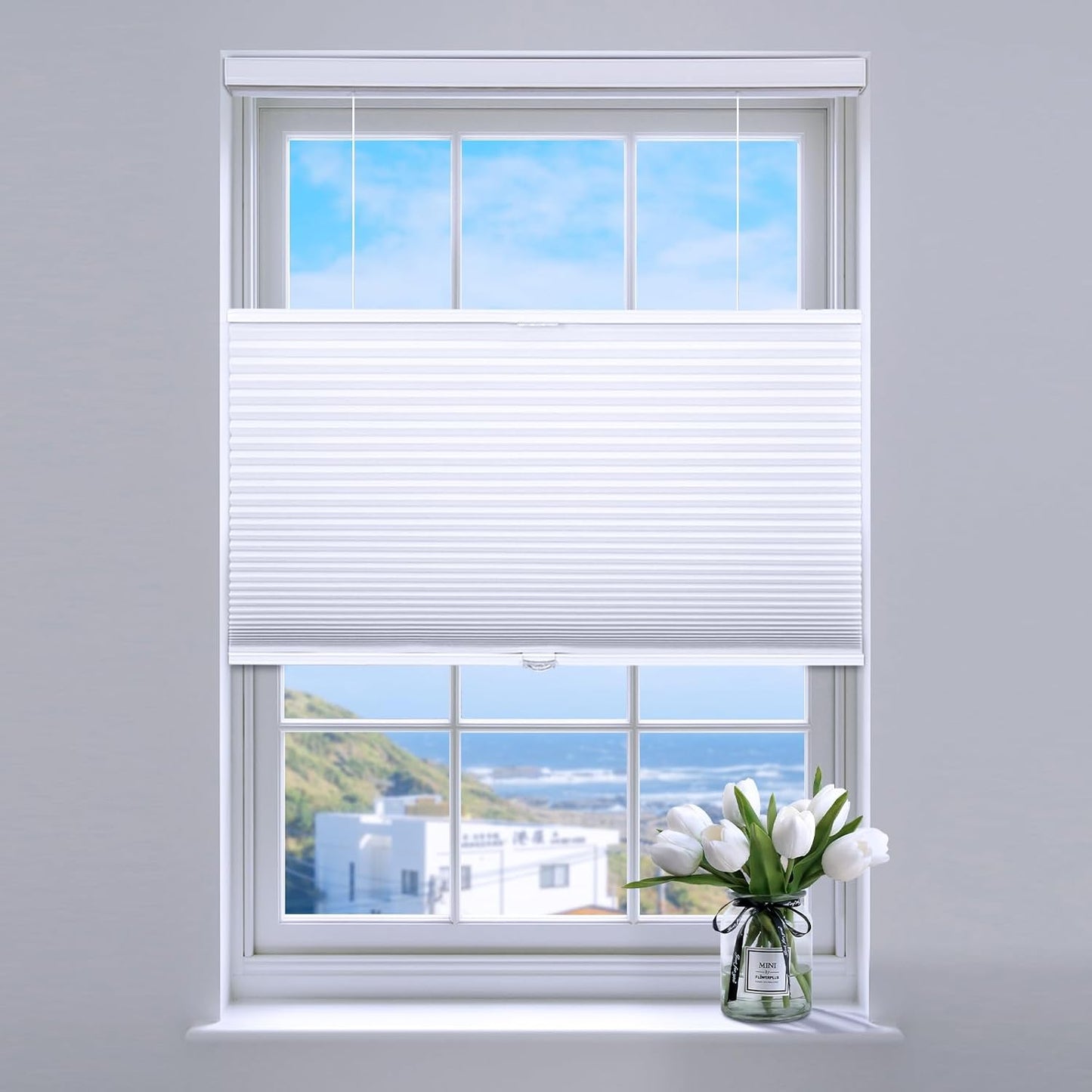 Top Down Bottom Up Cellular Blinds for Light Control and Privacy